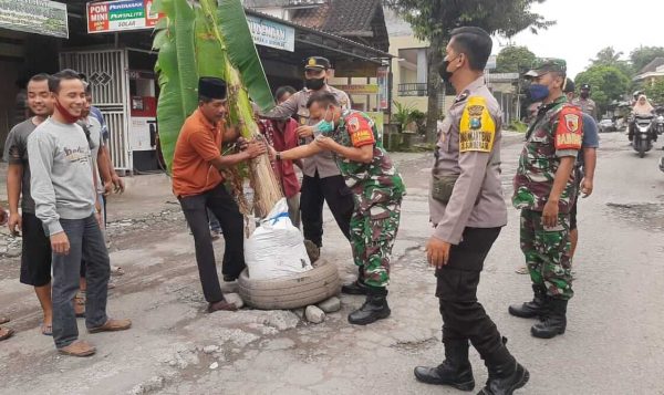 Warga Desa Dayu Blitar Tanami Jalan Sepanjang 50 Meter dengan Pohon Pisang