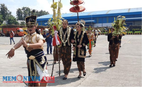 Tandai Buka Giling, Pabrik Gula RMI Gelar Tradisi Manten Tebu