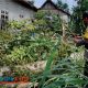 17 Rumah Dilaporkan Rusak Akibat Puting Beliung Sapu Kawasan Desa Kebonduren Blitar