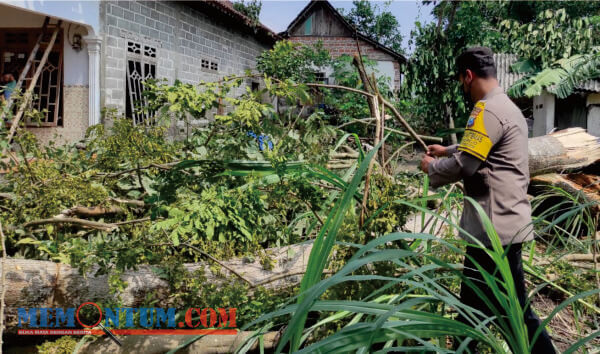 17 Rumah Dilaporkan Rusak Akibat Puting Beliung Sapu Kawasan Desa Kebonduren Blitar