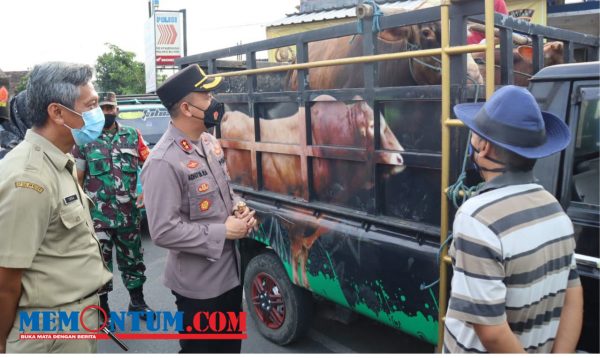 Ribuan Sapi di Blitar Suspek PMK, Disnakan Tunggu Kebijakan Vaksin Ternak