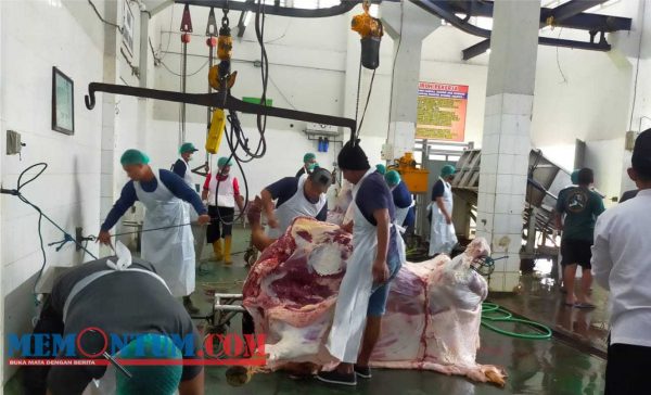 RPH Dimoro Kota Blitar Potong 90 Ekor Sapi