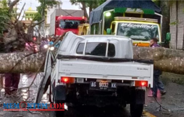 Tertimpa Pohon Mahoni Tumbang, Kakak Beradik di Blitar Meninggal di Dalam Mobil